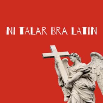 Palindrom Palindromi