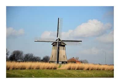 Holandija vetrenjača